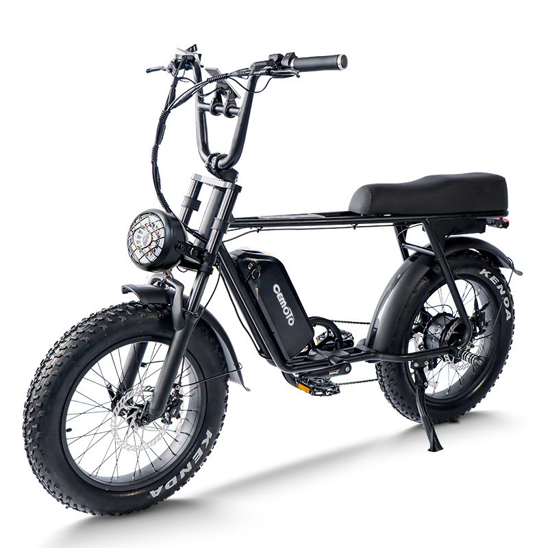 Fat Tire E Mouatin Bike