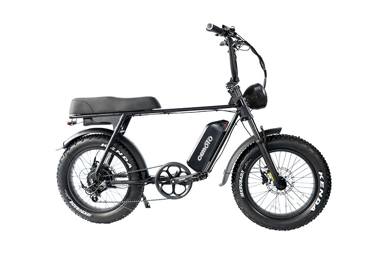 Fat Tire E Mouatin Bike