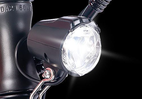 Fat Tire Folding Ebike
