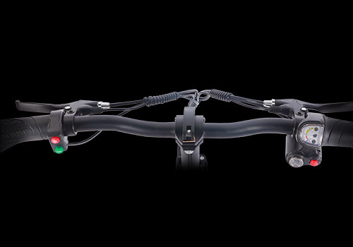 Fat Tire Folding Ebike