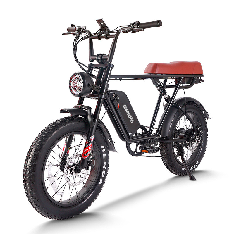 Fat Tire E Mouatin Bike