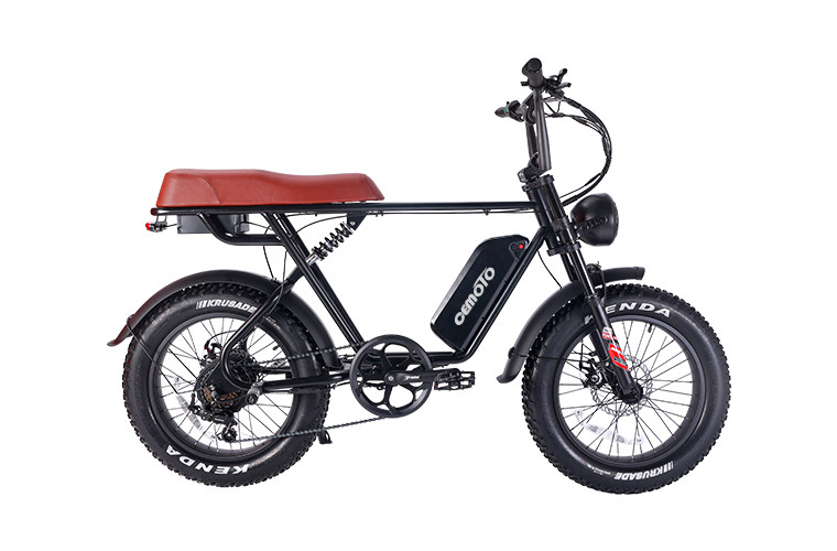 Fat Tire E Mouatin Bike