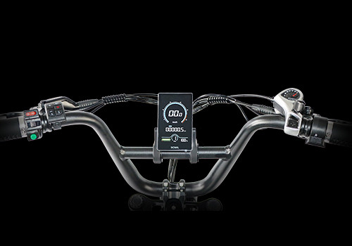 Fat Tire E Mouatin Bike