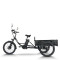 e-trikes electric tricycles | e tricycle | cargo e trike ET01C