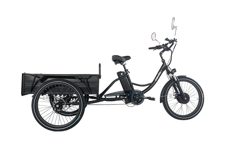 Cargo E Trike
