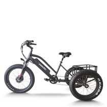 e-trikes electric tricycles | fat tire e tricycle | cargo e trike ET07