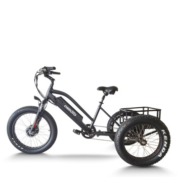 e-trikes electric tricycles | fat tire e tricycle | cargo e trike ET07