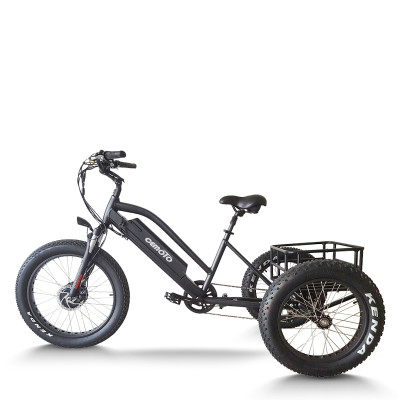 e-trikes electric tricycles | fat tire e tricycle | cargo e trike ET07