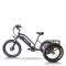 e-trikes electric tricycles | fat tire e tricycle | cargo e trike ET07