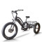e-trikes electric tricycles | fat tire e tricycle | cargo e trike ET07