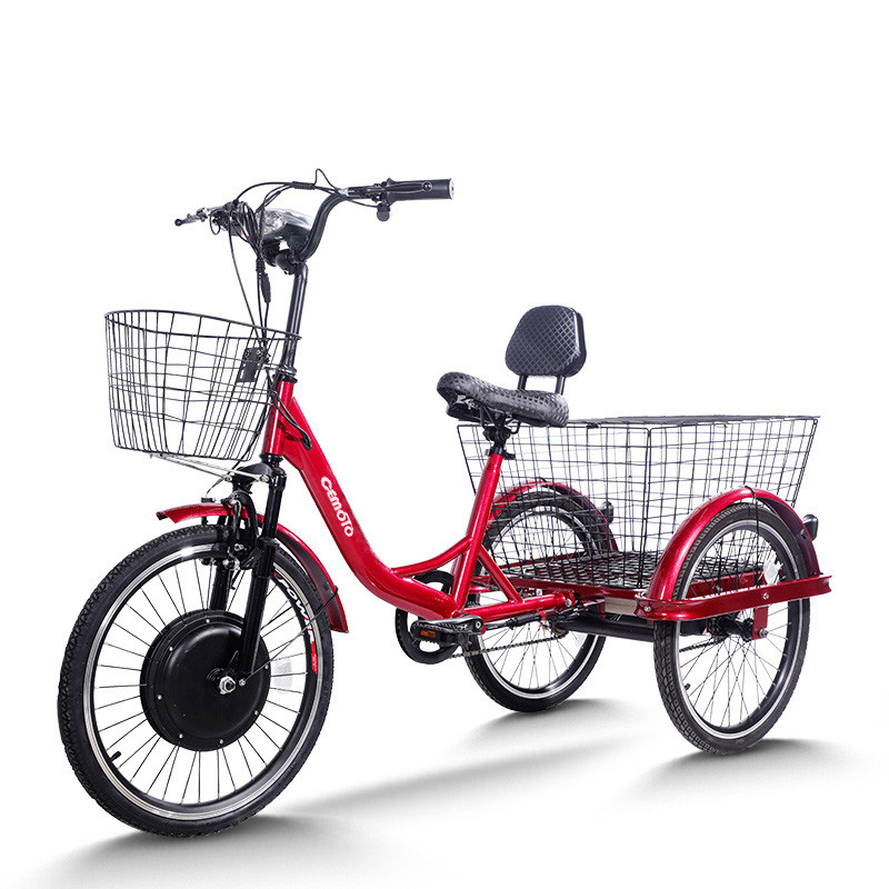 Cargo E Trike