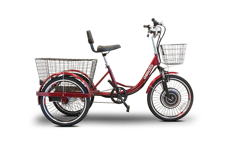 Cargo E Trike