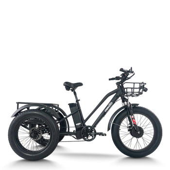 e-trikes electric tricycles | cargo e trike | e tricycle ET04