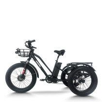 e-trikes electric tricycles | cargo e trike | e tricycle ET04