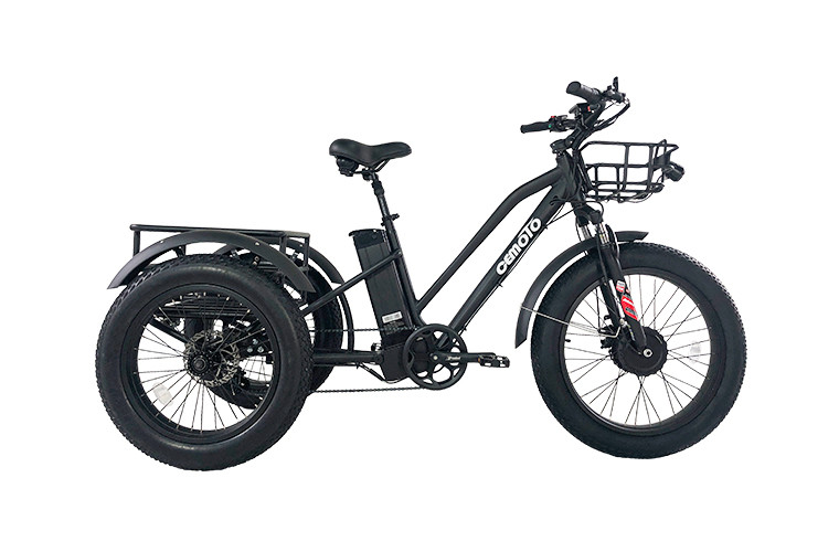 Cargo E Trike