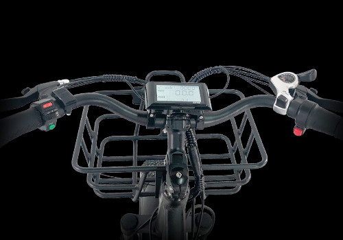 Cargo E Trike
