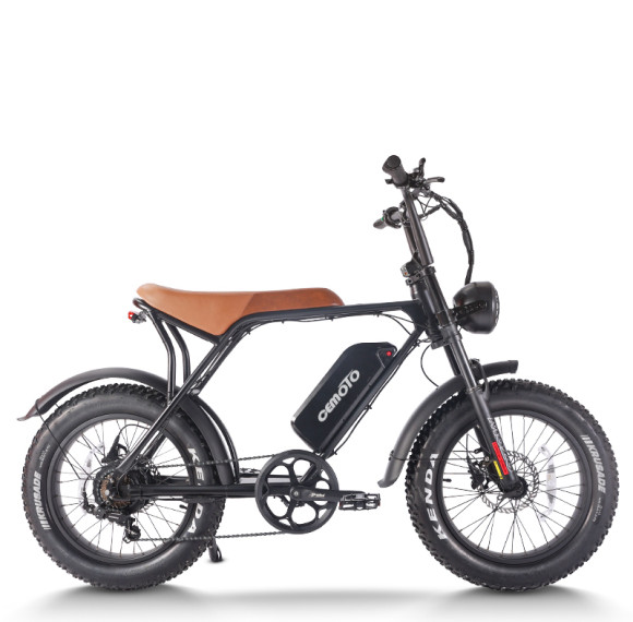 Fat Tire E Bike | 750W All Terrain E Bike | E Mouatin Bike AEB63