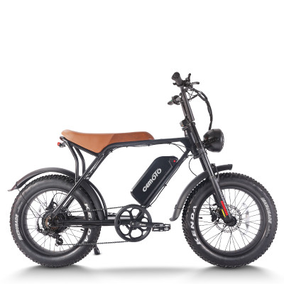 Fat Tire E Bike | 750W All Terrain E Bike | E Mouatin Bike AEB63