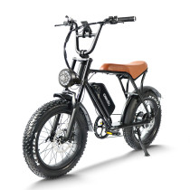 Fat Tire E Bike | 750W All Terrain E Bike | E Mouatin Bike AEB63