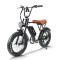 Fat Tire E Bike | 750W All Terrain E Bike | E Mouatin Bike AEB63