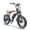 Fat Tire E Bike | 750W All Terrain E Bike | E Mouatin Bike AEB63