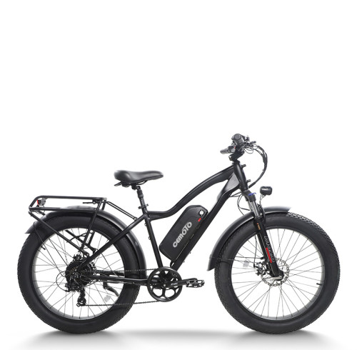 mountain e bike| 1000W MTB ebike  | Fat tire e bike AEB28D US in stock