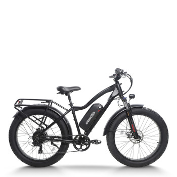 mountain e bike| 1000W MTB ebike  | Fat tire e bike AEB28D