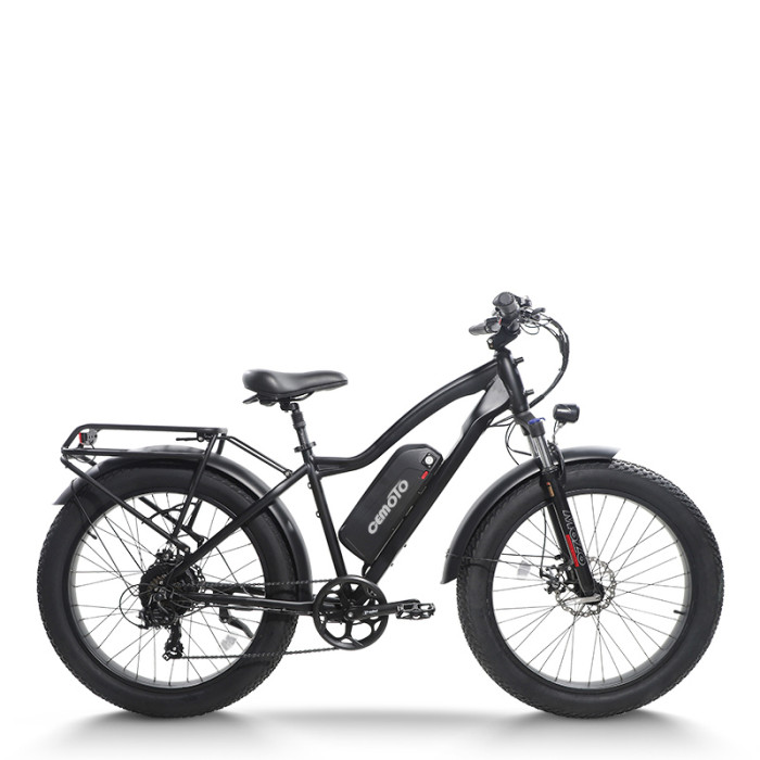 mountain e bike| 1000W MTB ebike | Fat tire e bike AEB28D