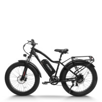 mountain e bike| 1000W MTB ebike  | Fat tire e bike AEB28D