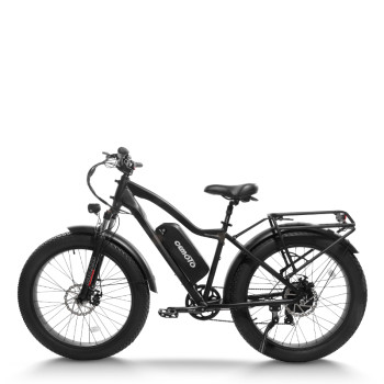mountain e bike| 1000W MTB ebike  | Fat tire e bike AEB28D