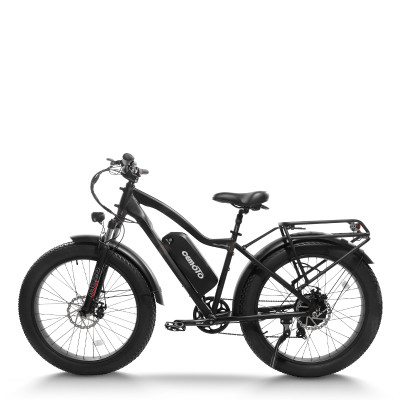 mountain e bike| 1000W MTB ebike  | Fat tire e bike AEB28D US in stock
