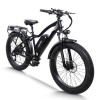 mountain e bike| 1000W MTB ebike | Fat tire e bike AEB28D