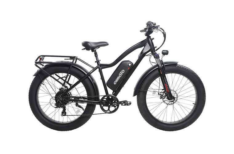 Fat Tire E Mountain Bike