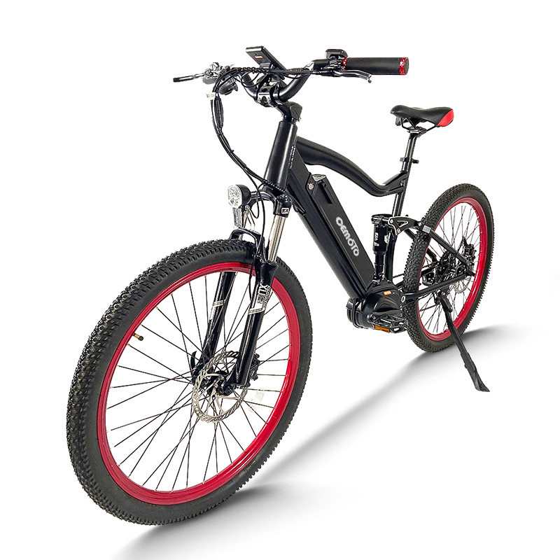 E  Mountain Bike