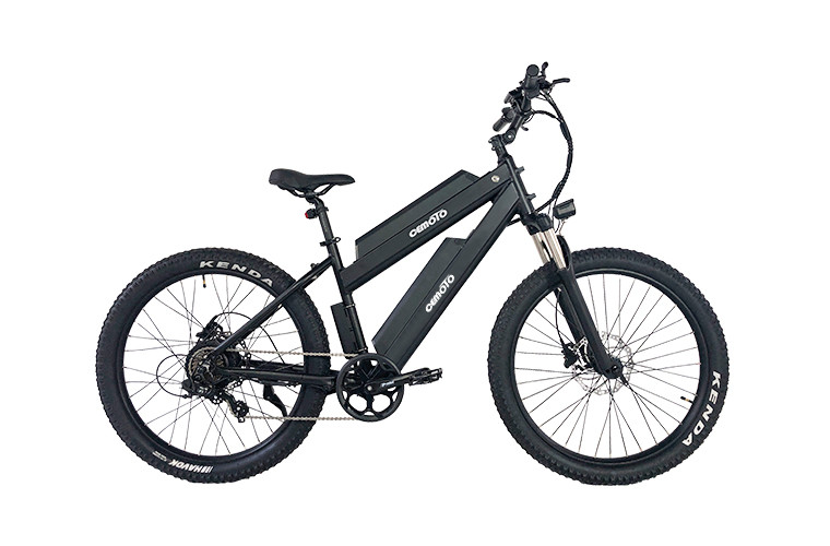 Dual Battery commuter Ebike