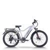 All Terrain E-Bike | 750W Commuter E bike | E Mountain Bike AEB52