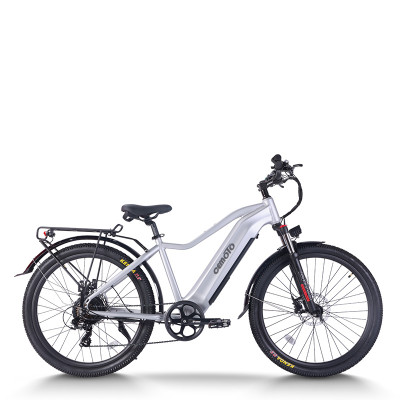 All Terrain E-Bike | 750W Commuter E bike | E Mountain Bike AEB52