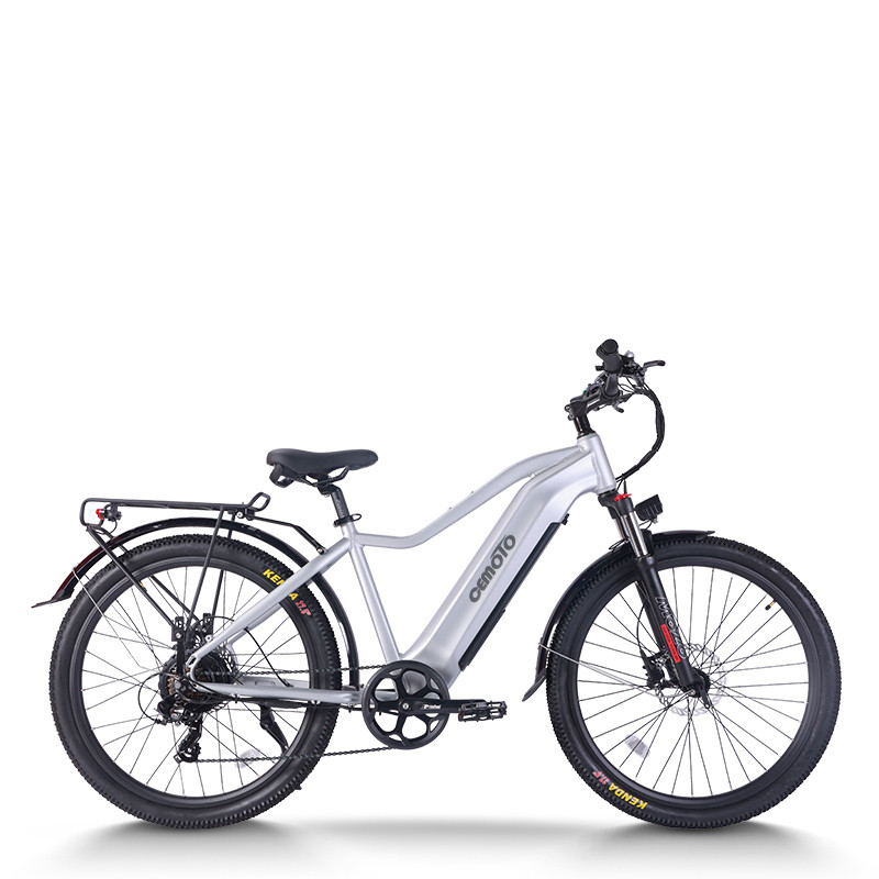 All Terrain E-Bike | 750W Commuter E bike | E Mountain Bike AEB52