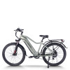 All Terrain E-Bike | 750W Commuter E bike | E Mountain Bike AEB52