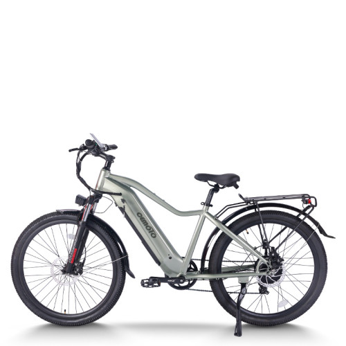All Terrain E-Bike | 750W Commuter E bike | E Mountain Bike AEB52