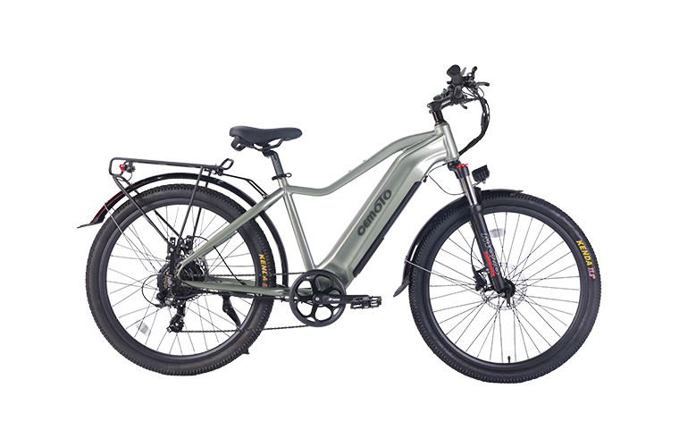 E Mountain Bike