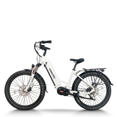 step through electric bike | City e bike | step-thru e bike AEB53
