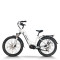 step through electric bike | City e bike | step-thru e bike AEB53