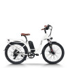 step through electric bike | step-thru e bike | City e bike AEB40