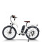 step through electric bike | step-thru e bike | City e bike AEB40 in stock