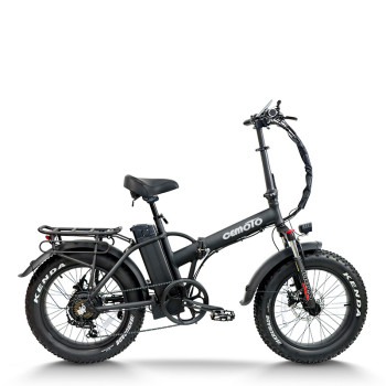 Fat Tire Folding e Bike | 750W Urban Electric Bike | AEB08A In Stock