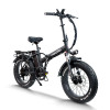 Fat Tire Folding e Bike | 750W Urban Electric Bike | AEB09A