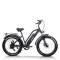 step through electric bike | City e bike | step-thru e bike AEB31A