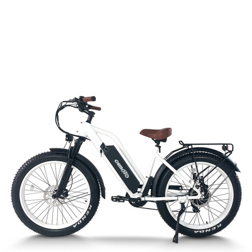 step through electric bike | City e bike | step-thru e bike AEB31A