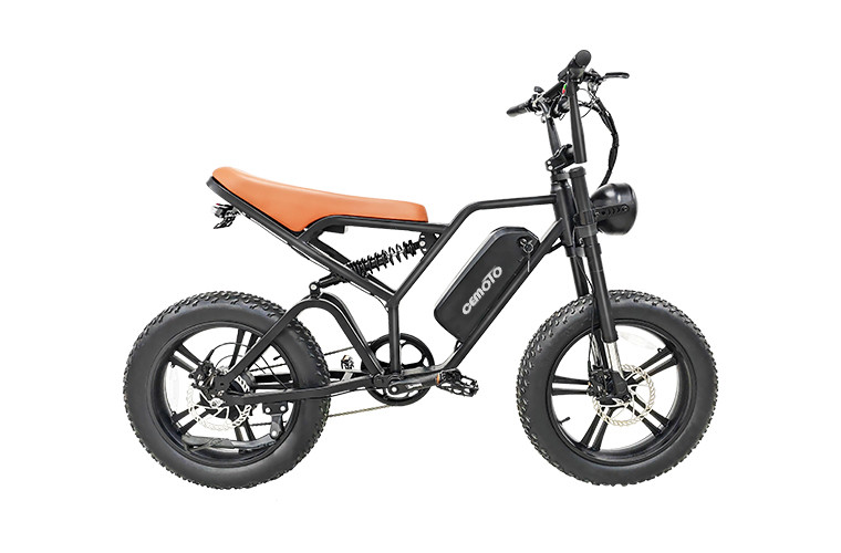 Fat Tire E Mountain bike